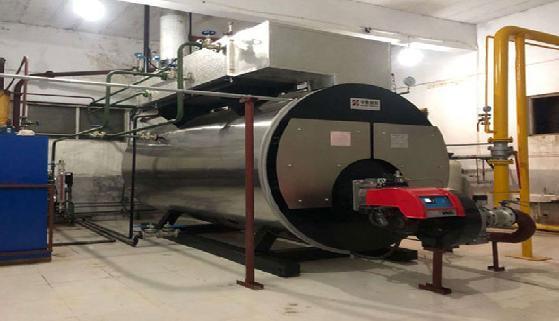 Shipping Container Greenhouse for Leafy Vegetables