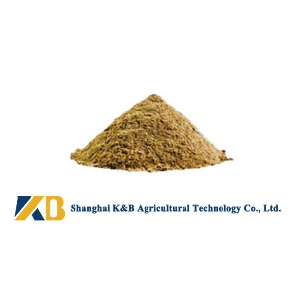 Feed Grade Fish Meal / Natural Animal Feed Contains Various Nutritions