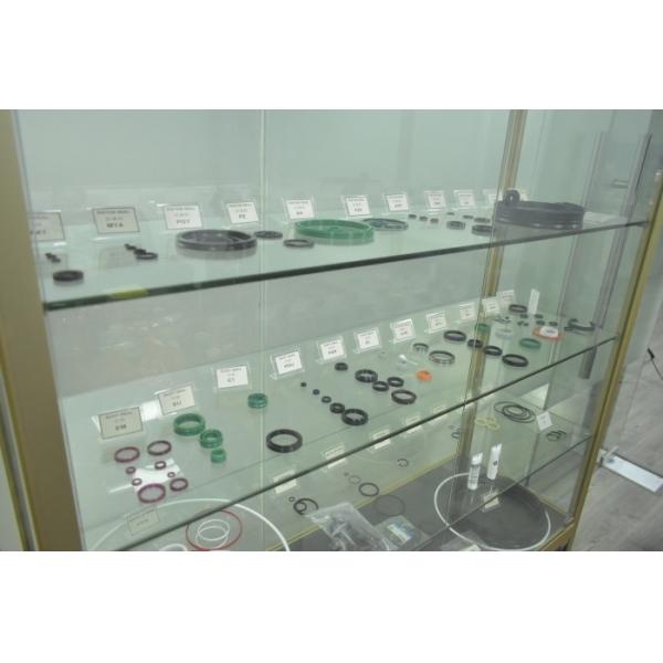 Customized Silicon Fkm NBR Rubber FFKM Molded Seals High Tempe Resistance