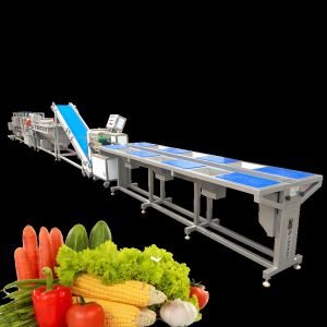 Industrial Fruit Vegetable Processing Machine Automatic 400KG 300-1000kg/h