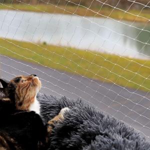 China Customized Mesh Size 10m X 3m White Balcony Protection Knotted Netting Cat Safety Net on sale