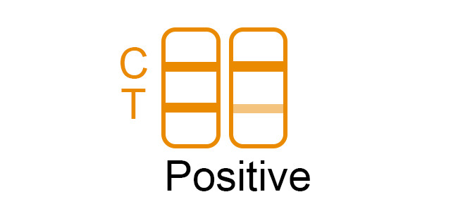 SARS-CoV-2 Swab Test Rapid Antigen 25 Tests/Kit CE For Nasal Swab Specificity 100%