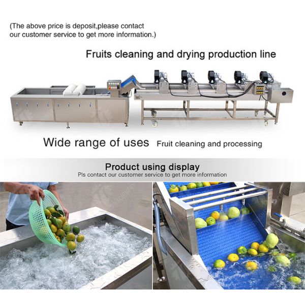 Customized Driven Pesticide Exclude Vegetable Processing Line , Centrifuging Tomato Processing Line
