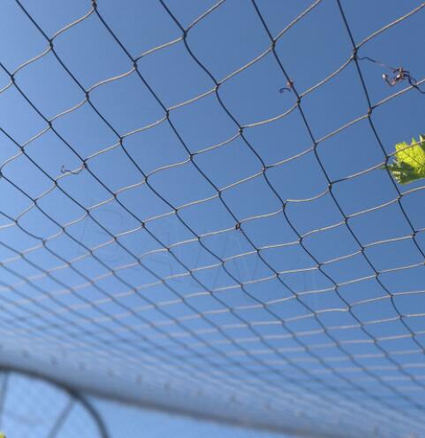 Good Perspective Stainless Steel Zoo-Eagle Mesh With SGS / ISO 9001 Certification