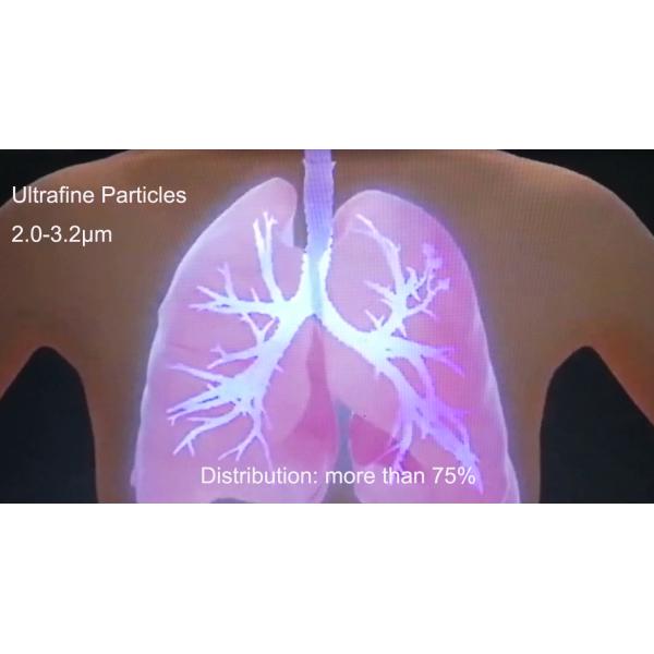Home Vibrating Mesh Nebulizer Inhaler Treatments MMAD 3.02μm For COPD