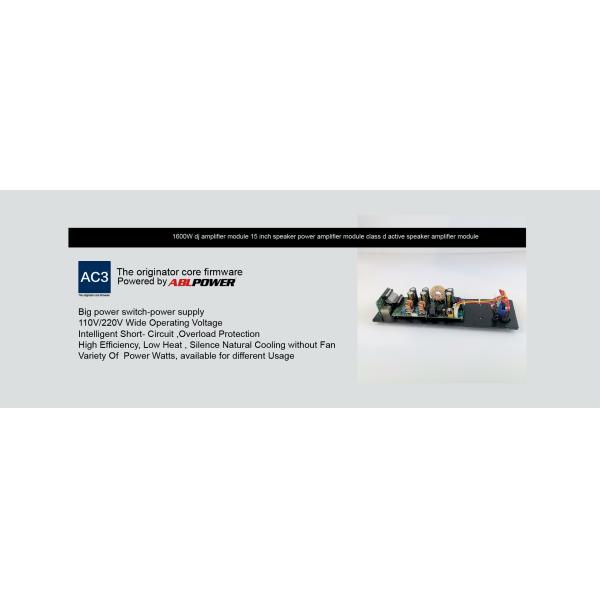 800W Power Amplifier Module For Speakers