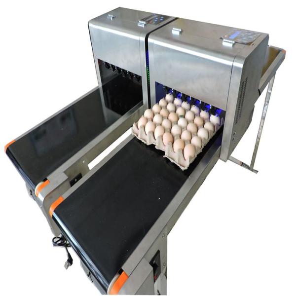 Easy Operation Egg Laser Batch Coding Machine With Thermal Foam Type Nozzle