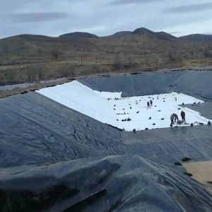 HDPE Smooth Geomembrane for Aquaculture Fish Pond Liner in 0.3mm 0.5mm 0.8mm