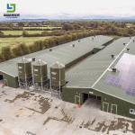 Prefabricated Design Automatic Egg Layer Poultry Farm Battery Chicken House