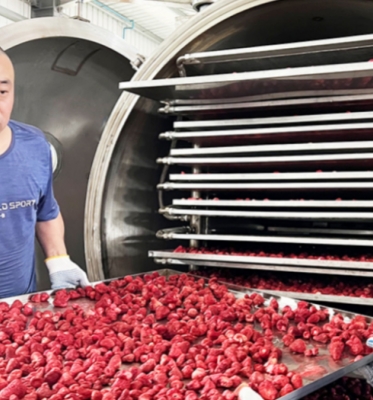 Commercial Freeze Drying Machine with 1400*1000mm Tray Size in Meat Processing Plants