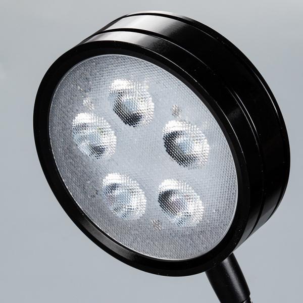 5W 7W Small Aquarium Grass Light Coral Reef Algae Amphibious Landscape Lamp