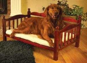 Buy cheap Pet dog bed, dog sofa bed product