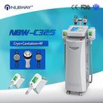 Reduce Cellulite Fat Freeze Cryolipolysis Slimming Device With Touch Screen RF