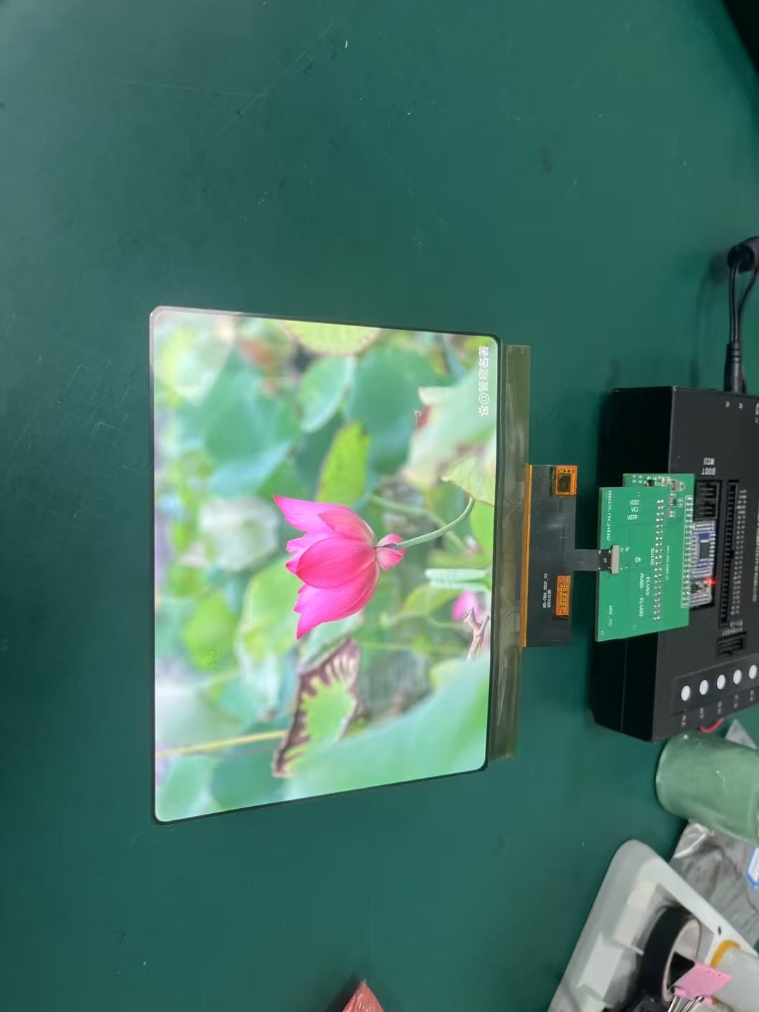 8 inch AMOLED display module close-up