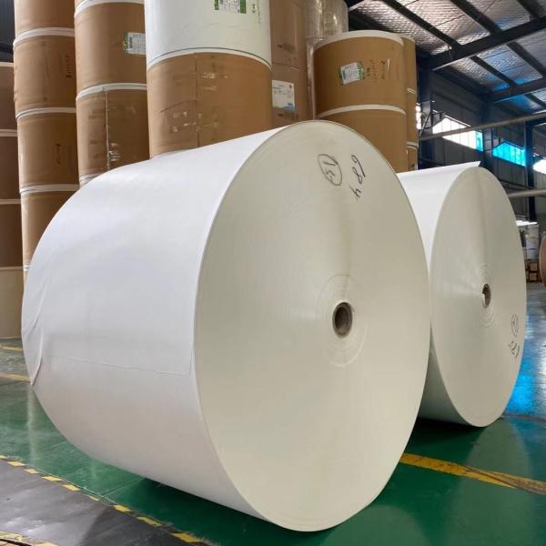 Virgin Wood Pulp PE Coated Paper Roll for Waterproof and Greaseproof Packaging