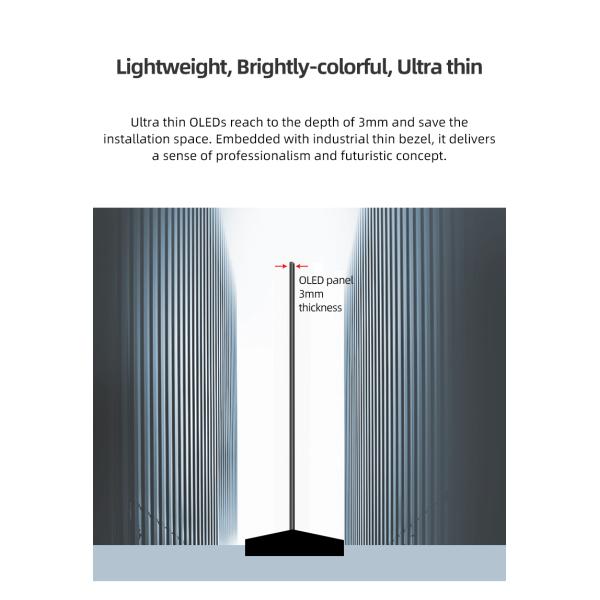 55 inch Floor Standing TV Transparent OLED Digital Signage AMOLED Screen 4K Touch Ultra Thin Transparent OLED Display