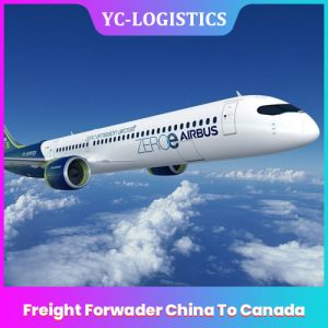 Buy cheap Express DDP International Freight Forwarding Services From Guangdong product