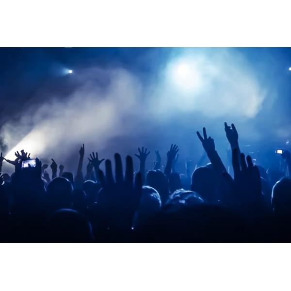 Wedding Party and Night Club Stage Light 500W Smoke Fog Machine with Advantages