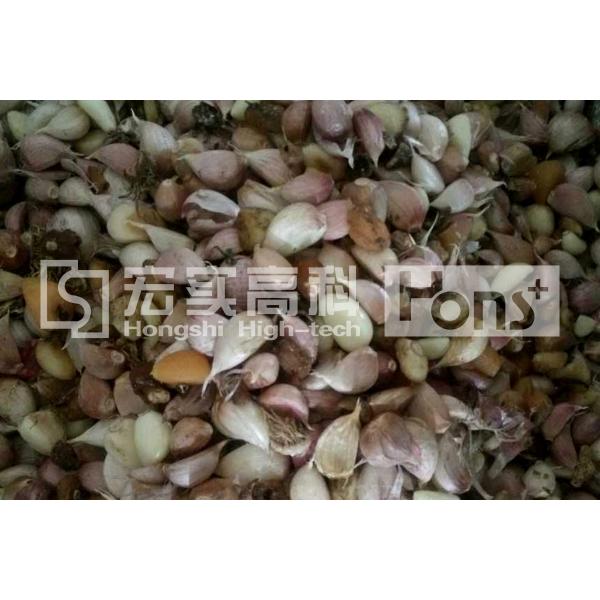 Single Channel CCD Color Sorter Garlic Color Sorting Machine 350kg Weight