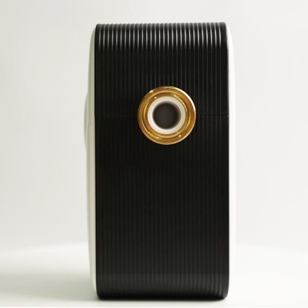 BSPT NPT Mains Whole House Water Softener SS304 Anti Bacteria