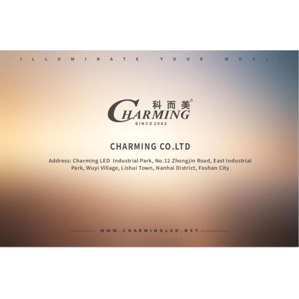 Fine Pixel Pitch P1.53 P1.66 P1.86 P2 LED Video Display Screen Wall For Meeting Room