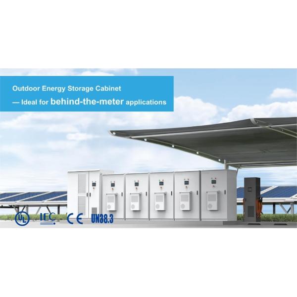 Energy Storage Cabinet 215kWh 100kw Outdoor Energy Storage System
