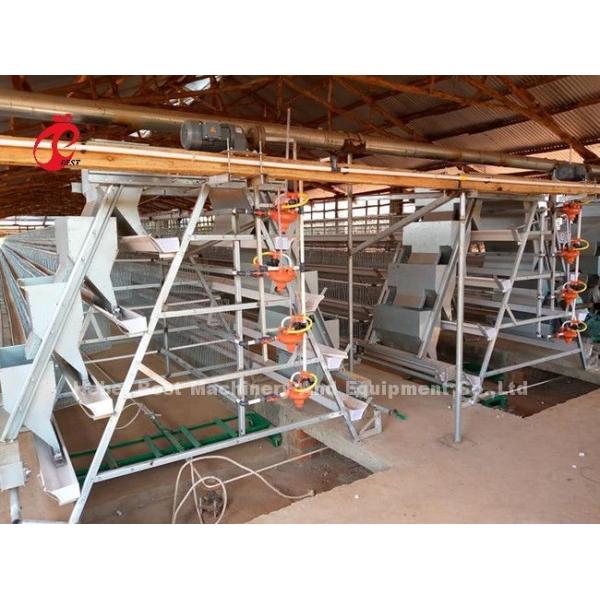 Automatic Layer 160 Birds Chicken Battery Cage For Poultry Farm Emily