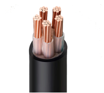 Multi Core XLPE Insulated Power Cable Cu Conductor Fire Proof Cable with XLPE Insulation EN 60332