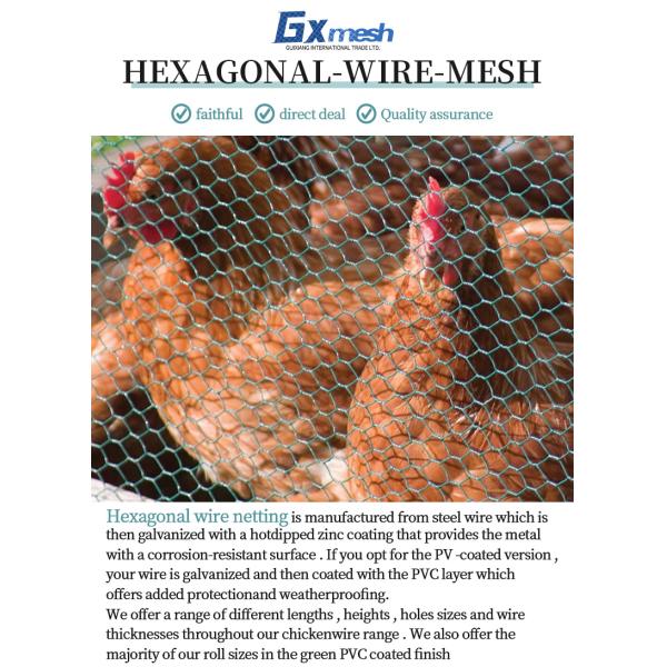 Widely Used Superior Quality gabionnet roll customizable garden buildings hexagonal lead customize farms iron wire mesh cage