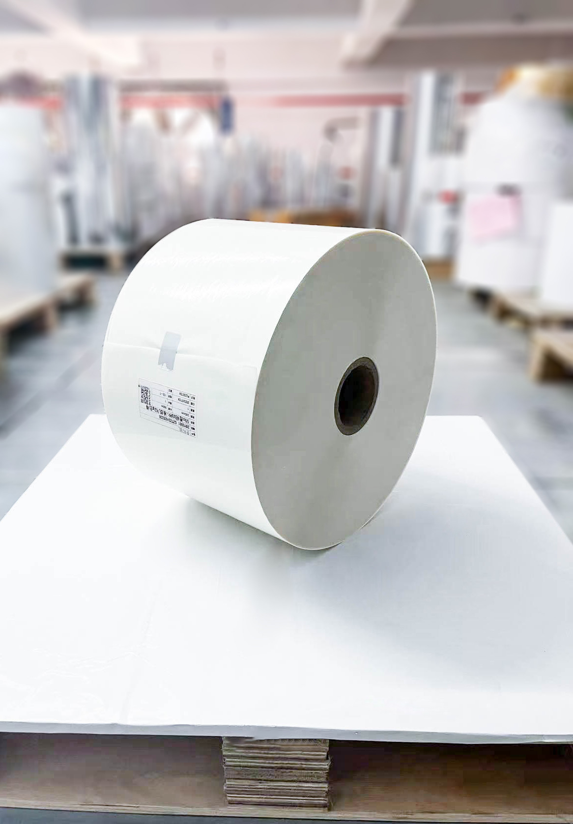 China Transparent Waterproof PE Coated Paper Roll 62g Paper Thickness Glassine on sale