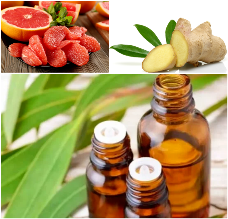 High Concentrated Grapefruit Ginger Essence For Scented Candles Making