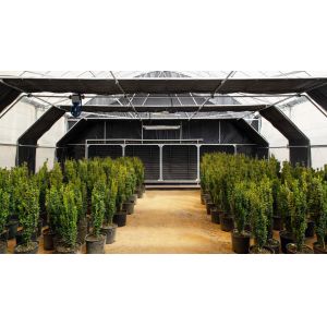 Buy cheap Light Deprivation Greenhouse Dimensions Mushroom Herb Grow Shading Dep Greenhouse product