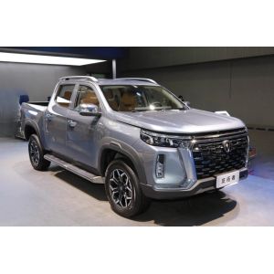 Buy cheap 2025 Elite Extended Cab 4x4 Petrol 2.0T Enjoyment Edition product