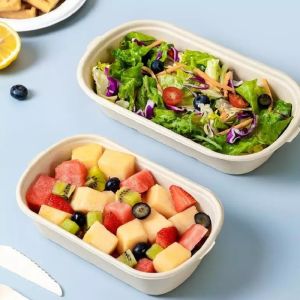 Home Compostable Sugarcane Container Microwavable Meal Take Out Food Containers