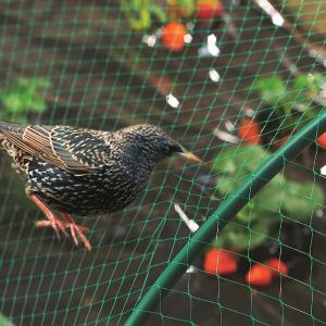 Buy cheap HDPE Transparent Agricultural Anti bird net, anti bird netting product