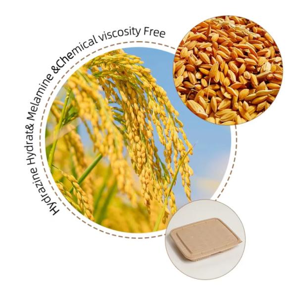 Eco-Friendly Disposable Rice Husk Fiber Clamshell Lunch Box Unbleached Biodegradable Food Container