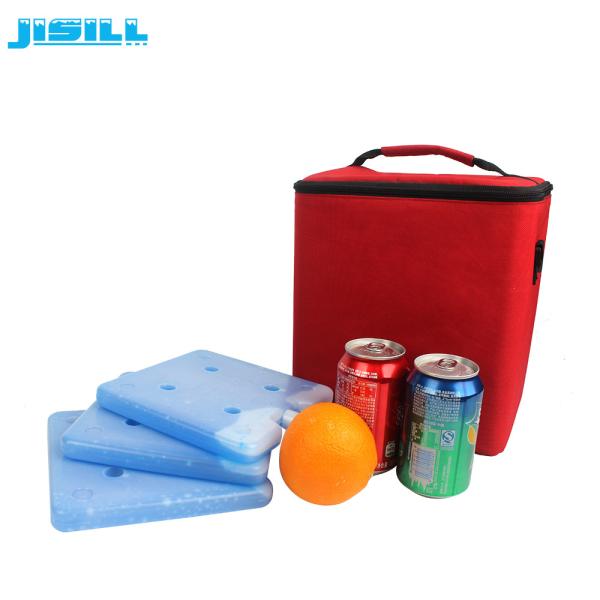 Custom Hard Plastic Gel Ice Eutectic Cold Plates Cooler Ice Bricks For Transport