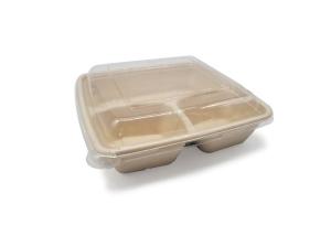 Buy cheap Disposable biodegradable takeaway bagasse sugarcane pulp food container with lid product