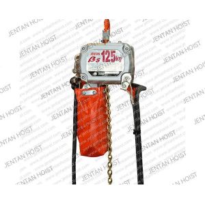 Motorised Single Phase Electric Hoist Chain 7.2kg OEM