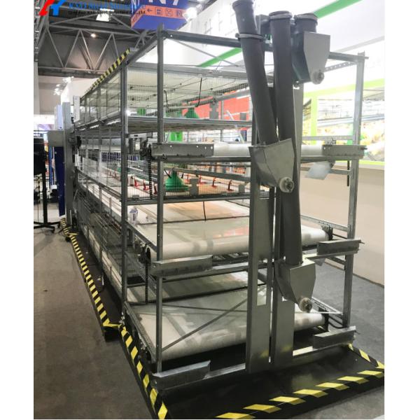 Modern Broiler Chicken Farming Equipment Automatic H Type Poultry Broiler Cage