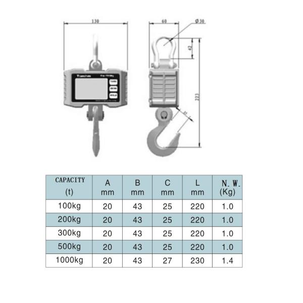 Crane Scale OCS-PT02