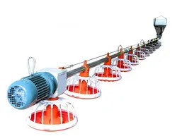 Buy cheap Poultry House Automatic Auger Feeding System Chicken Cage Feeder product