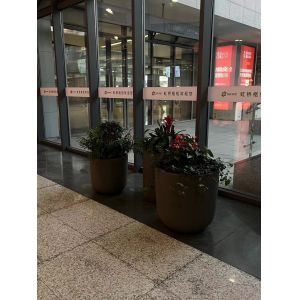 Outdoor Plastic Planter Molds Customized LLDPE Plastic Flowerpot Mould