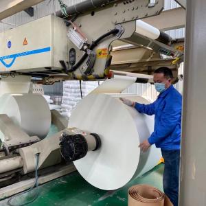 China 190gsm 210gsm 230gsm Waterproof Coated Paper Roll With Single PE on sale