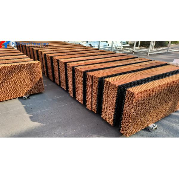 Steel Frame Piggery Shed Construction Long Span Steel Poultry Buildings