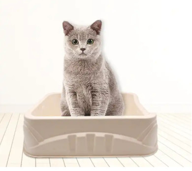 Bamboo Fiber Disposable Litter Boxes Eco Friendly Molded Pulp Paper Litter Box