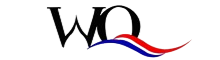 China Xiamen WangQin Chemical Technology Co., Ltd. logo