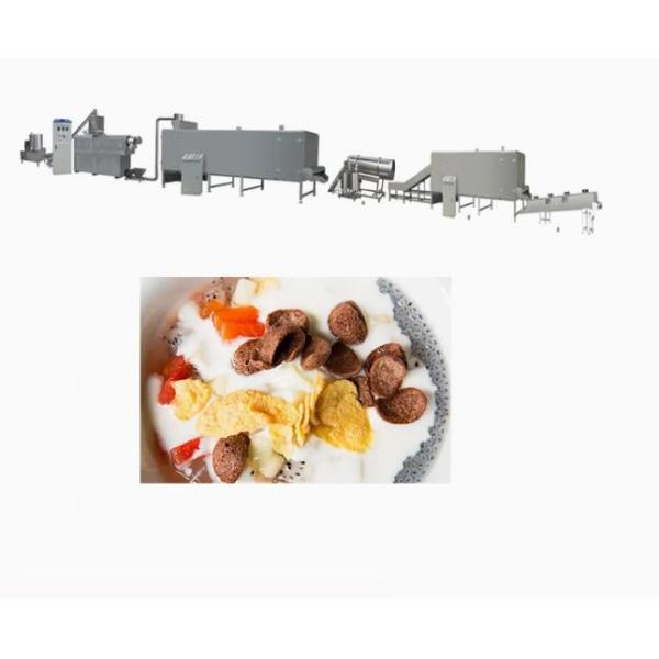 Kelloggs Corn Flakes Processing Line