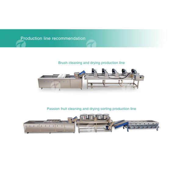 Tengsheng High Voltage Spraying Fruit And Vegetable Processing Line Industrial residual degradation