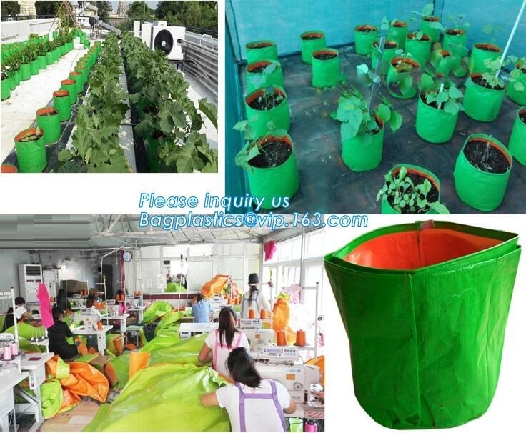 customized waterproof green pe car protector,environmental firendly, car boot liner, reusable, durable,economical,sample